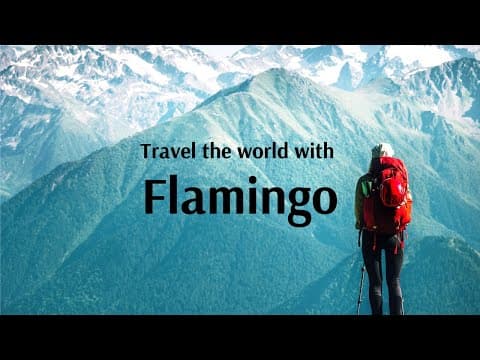 Travel the world with FLAMINGO!