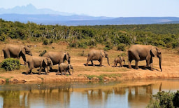 Pilanesberg National Park 2