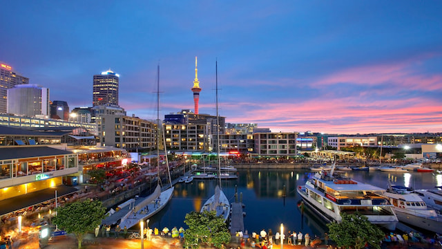 auckland city image