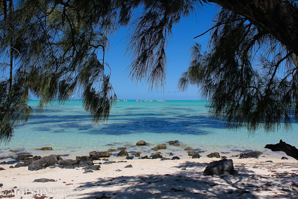Ile aux Cerf 1