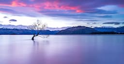 Wanaka