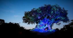 Disney’s Animal Kingdom