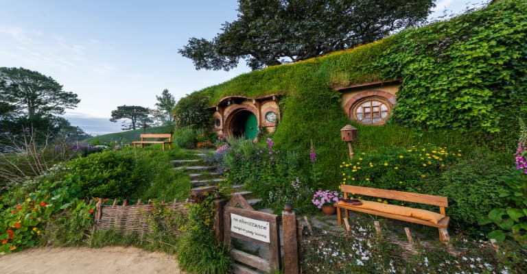 Hobbiton Movie Set Tour