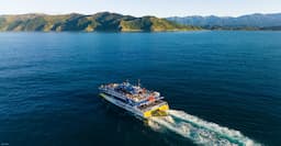 KAIKOURA Whale Watch Cruise 3 hours