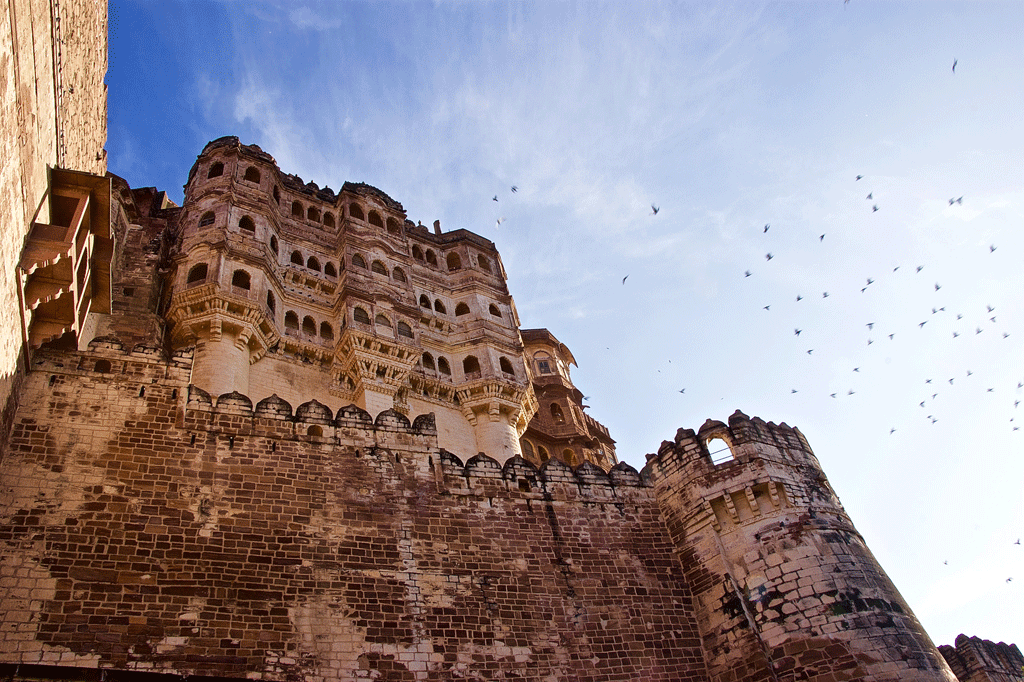 Jodhpur 9