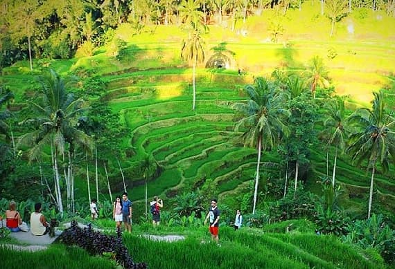 Kintamani And Ubud Village Tour