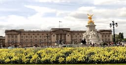 Buckingham palace