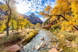 Zion National Park