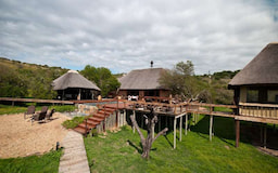 Amakhala Game Reserve 1