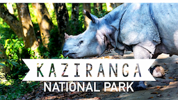 Kaziranga National Park