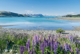 Lake Tekapo