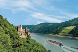 Rhine River Cruise