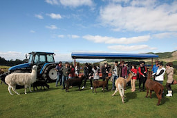 Agrodome Farm Show