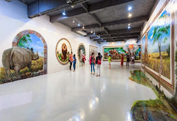 Art in Paradise Museum