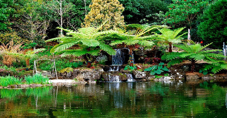 Maleny Botanic Gardens