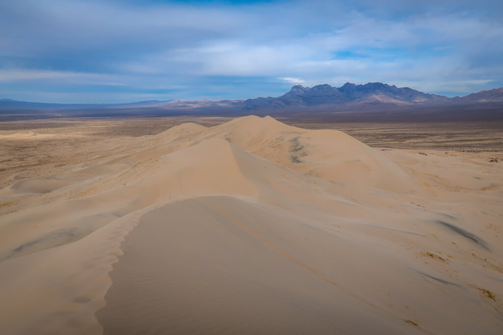 Kelso Dunes Trail