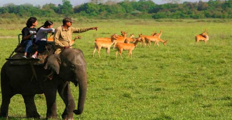 Carmelagiri Elephant Park