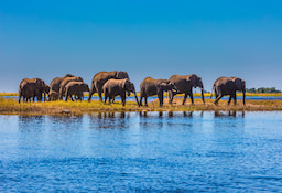 Chobe National Park