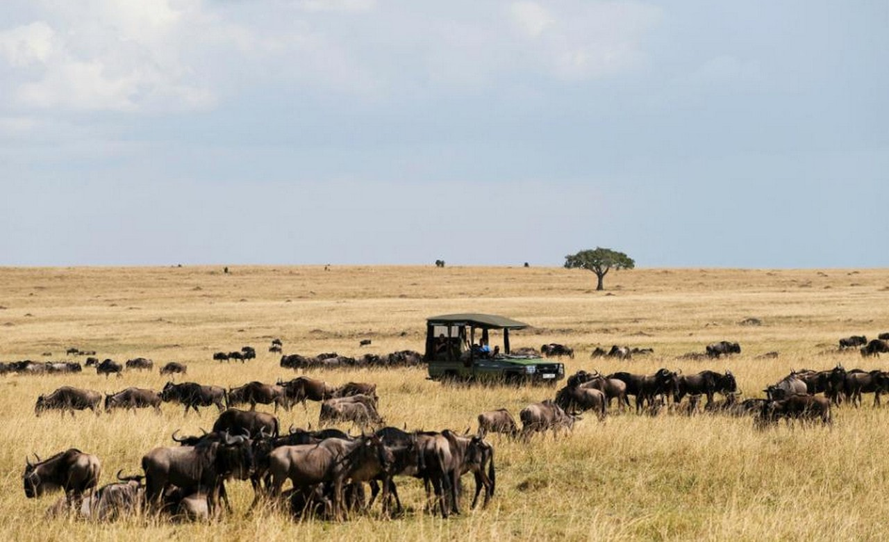 Masai Mara