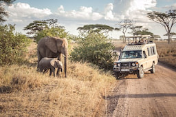 Serengeti National Park Game Drive