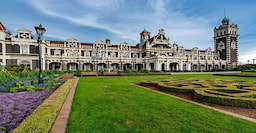 Culture In Context Tour Dunedin