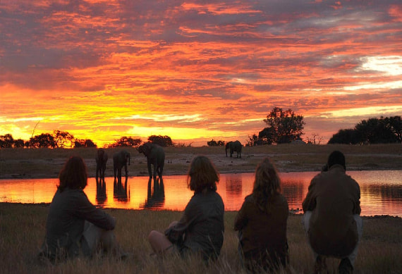 Game Drive Chobe National Park