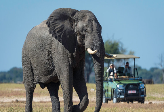 Game Drive In Hwange National Park