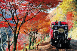 Arashiyama Romantic Train