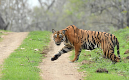 Mudumalai National Park