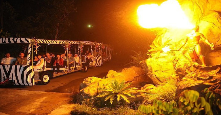 Night Safari With Tram Ride