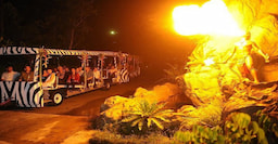 Night Safari With Tram Ride