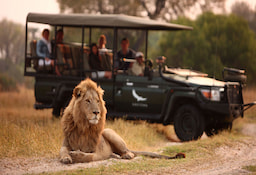 Game Drive Okavango Delta