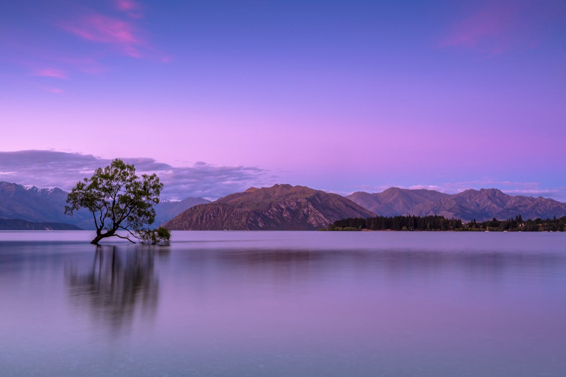 Wanaka