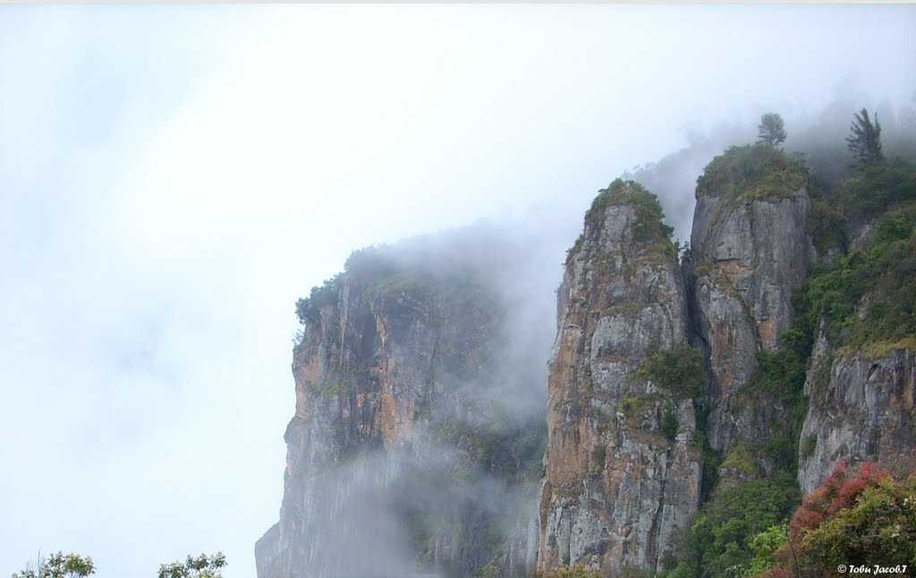 Pillar Rocks Viewpoint