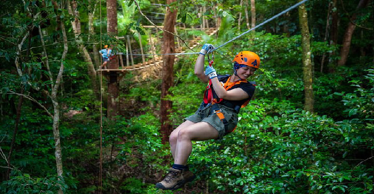 Daintree Zipline Tour