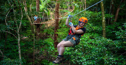 Daintree Zipline Tour