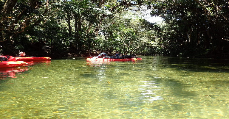 Mossman River Drift Snorkeling