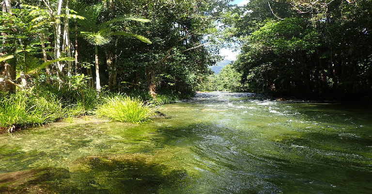 Mossman River Drift Snorkeling