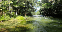 Mossman River Drift Snorkeling