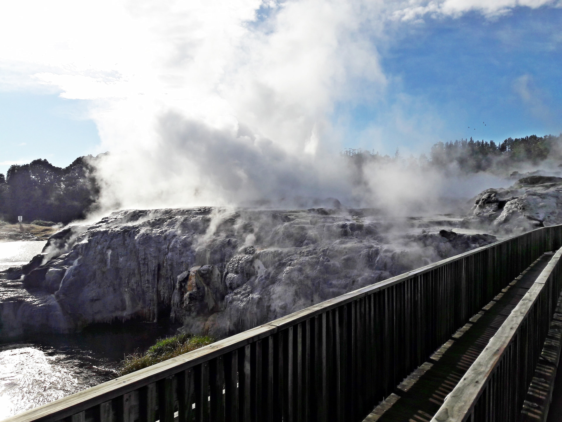 Te Puia Thermal Reserve