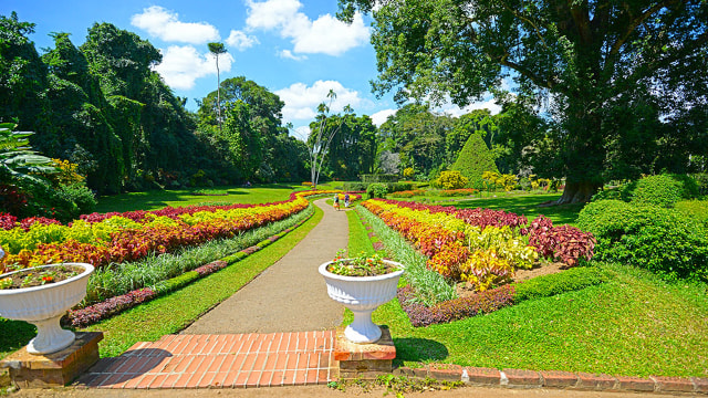 Botanical Gardan Over View