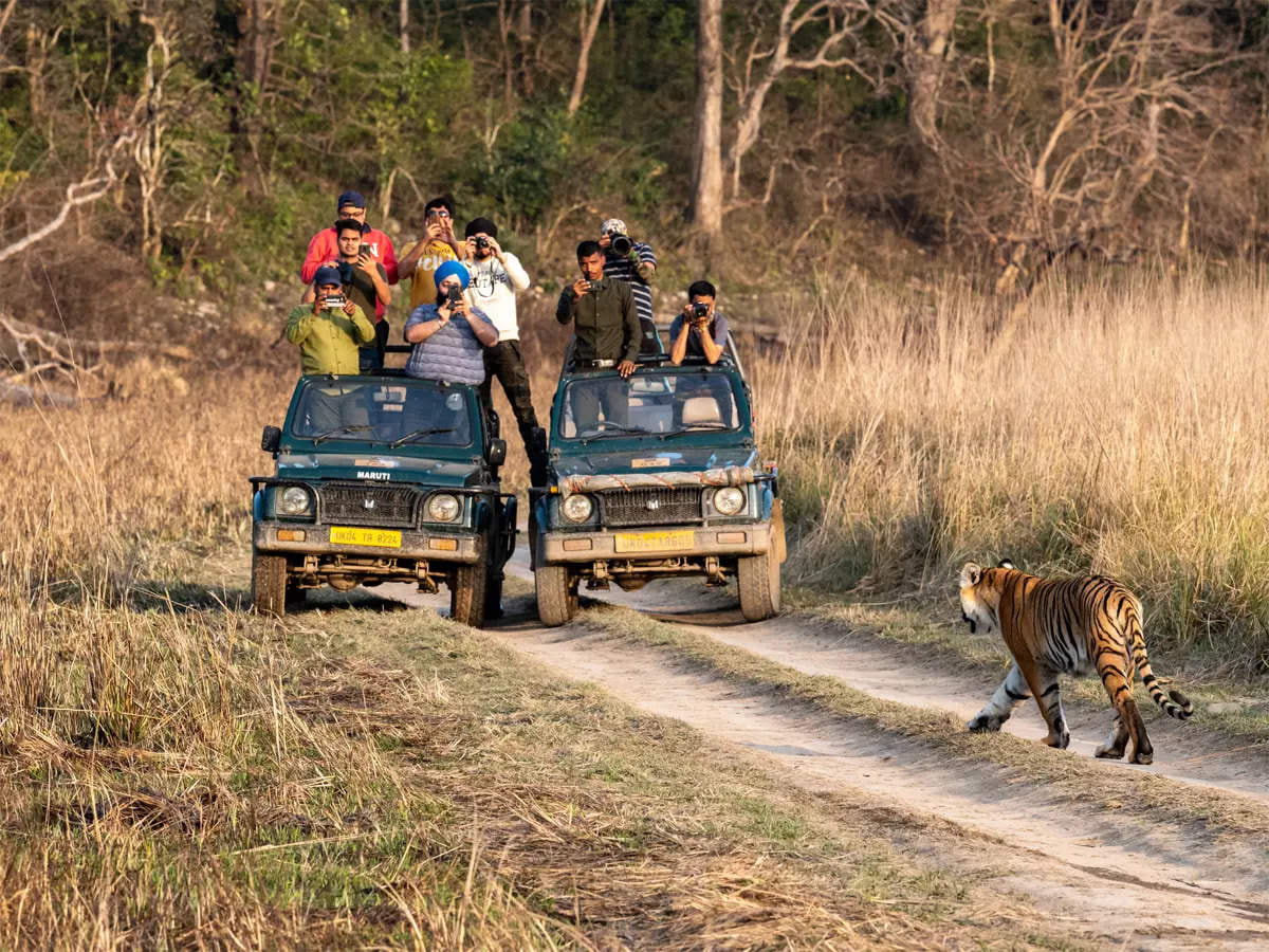 Corbett National Park