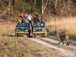 Corbett National Park