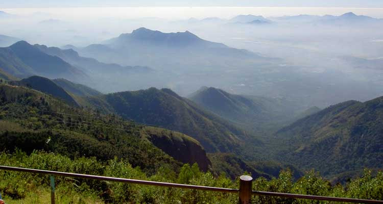 Green Valley View Point