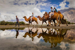 Hundar (Camel Safari On Direct Payment)