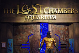 Lost Chambers Aquarium