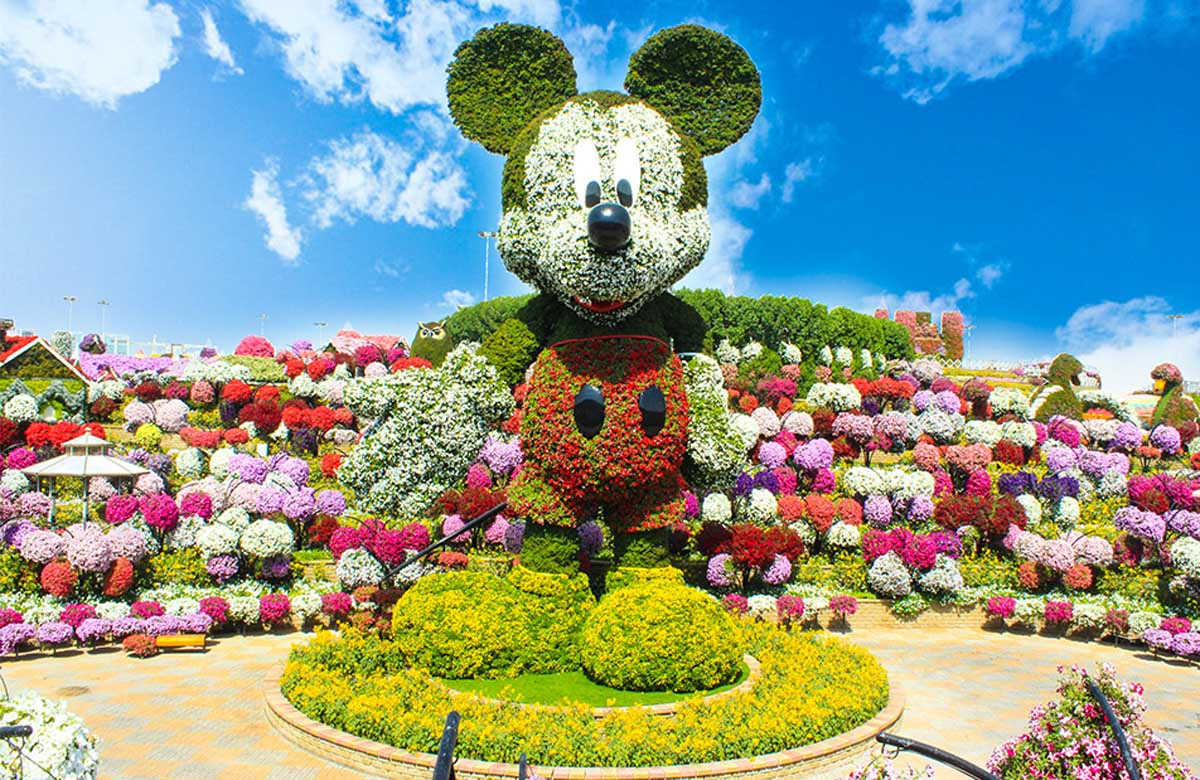 Miracle Garden