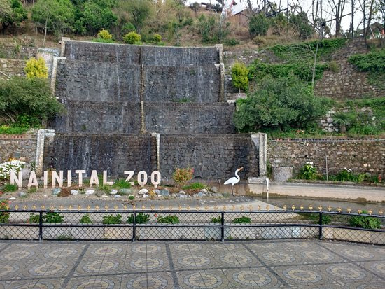 Nainital Zoo