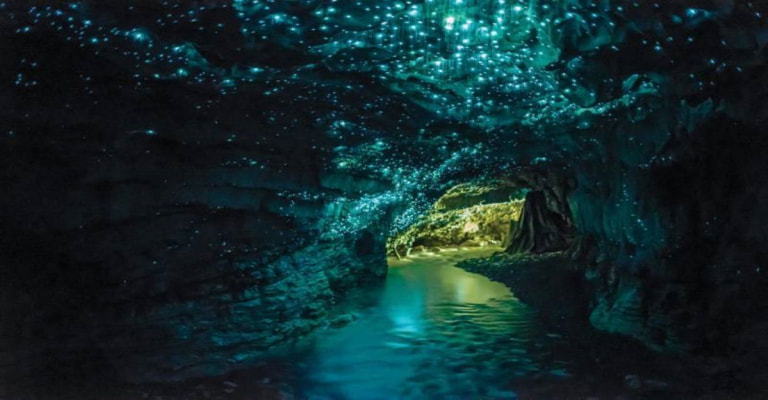 Waitomo Glowworm Caves