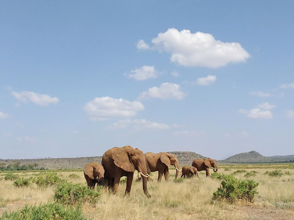 Visit Naivasha